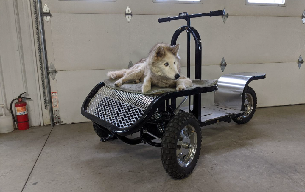 Quinn Dog Cart